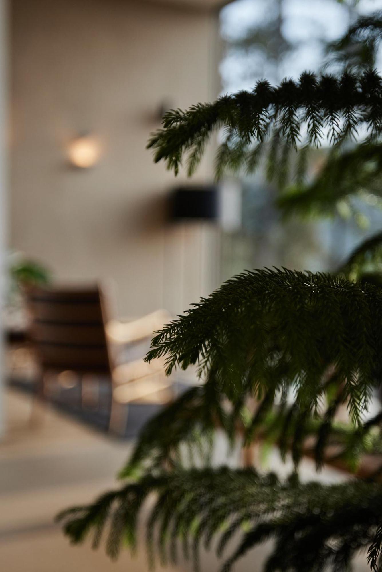 Saltus Hotell San Genesio Atesino Exteriör bild